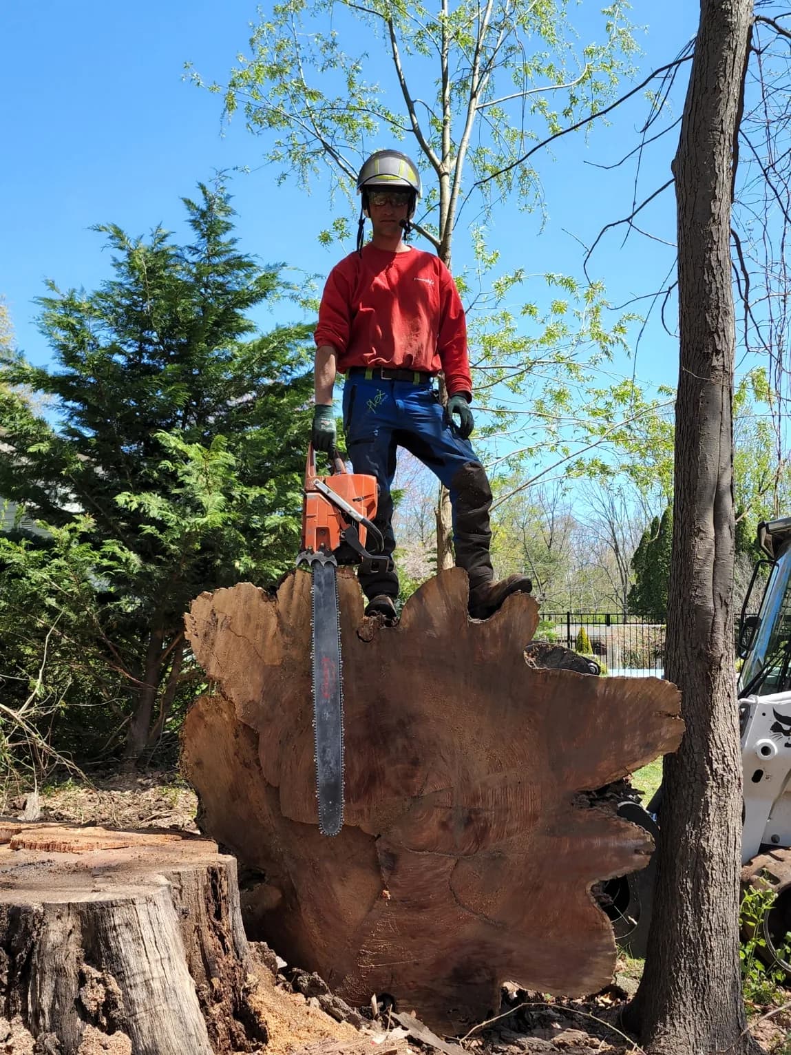 Chip, ChipperTree's owner, standing on a huge cut log with his chainsaw