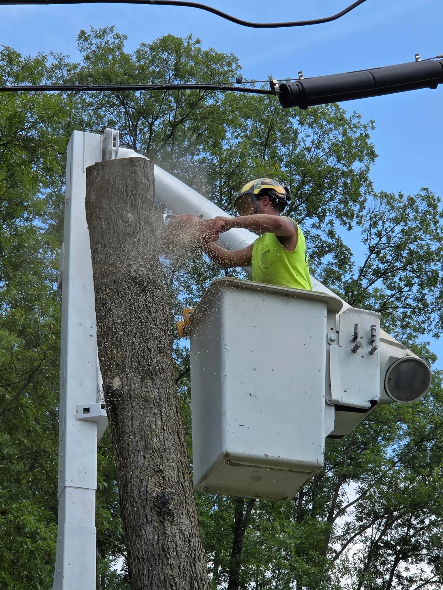 Crew member in a bucket truck, in helmet and hi-vis, cutting a trunk down in sections