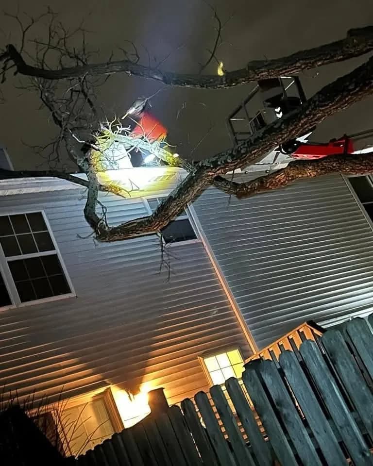 Crew working at night under lights to clear a broken limb lying against a house