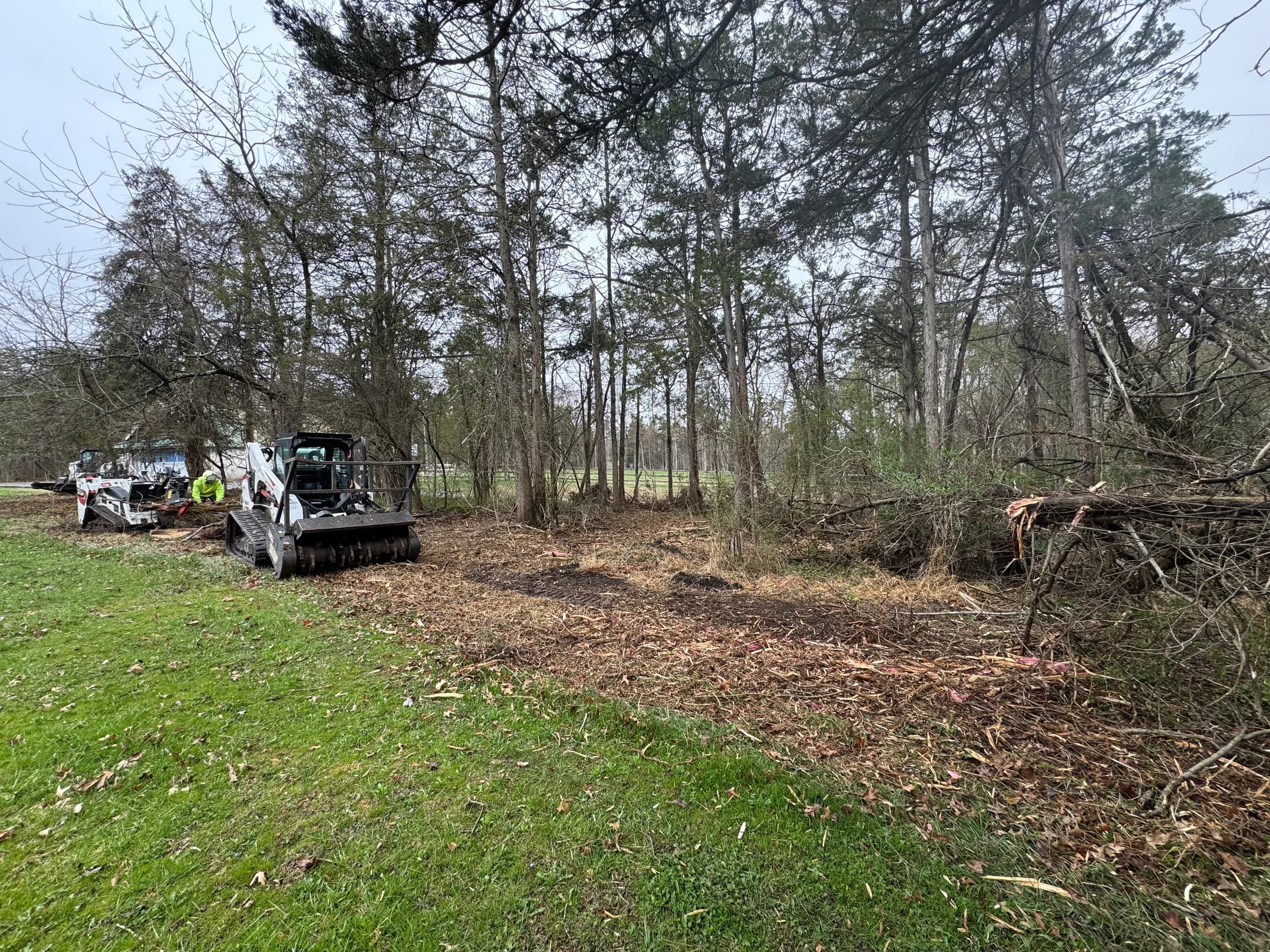 Tracked forestry mulcher parked on a freshly cleared strip of ground at the edge of a stand of trees