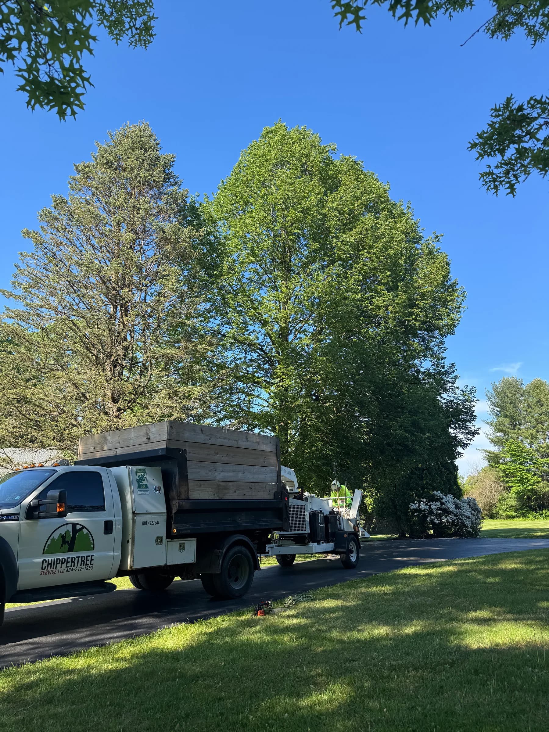 ChipperTree truck and wood chipper on a customer's driveway, under two tall trees